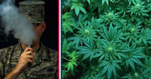 Veterans in cannabis